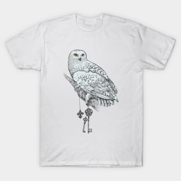 Owl T-Shirt by rcaldwell